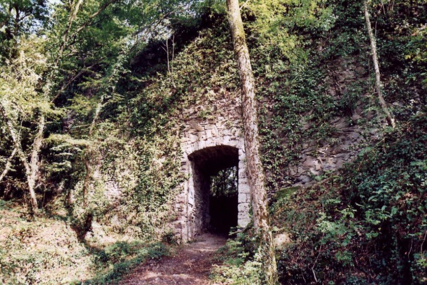 Burgruine Hauenstein, Germany